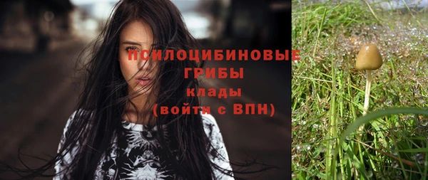 2c-b Алексеевка