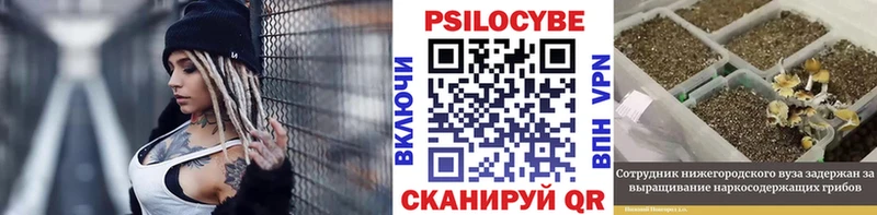 площадка как зайти  хочу наркоту  Еманжелинск  Псилоцибиновые грибы прущие грибы 